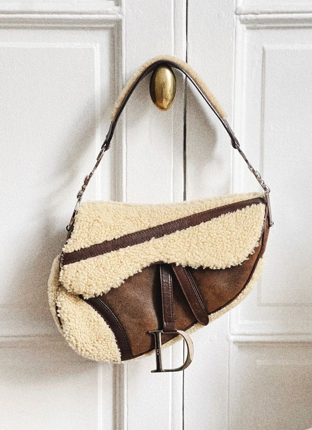 The Dior Saddle Bag
