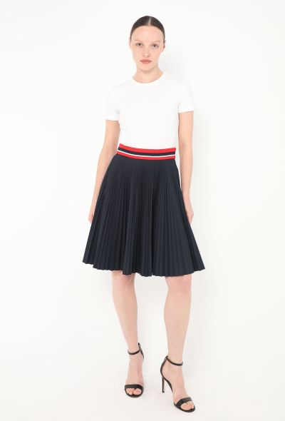 Prada 2014 Striped Pleated Skirt - 1