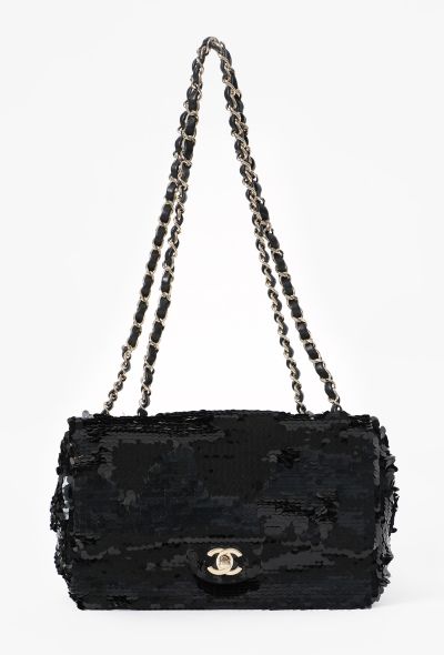 Chanel Timeless Sequins Bag, S/S 2019 - 1