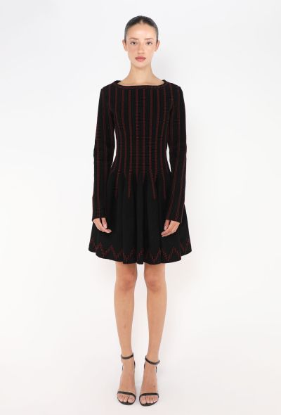 Alaïa Fall 2013 Embroidered Skater Dress - 1