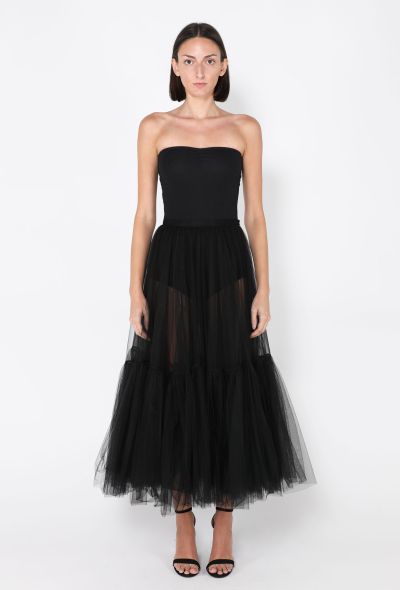 Dior Sheer Tulle Overskirt, Resort 2019 - 1