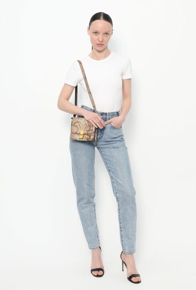 Céline Mini Python Classic Box Bag Beige and brown - 2