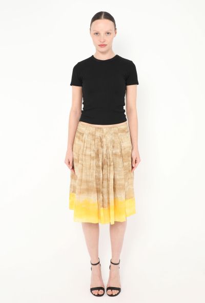 Prada 2006 Pleated Ombré Skirt - 1