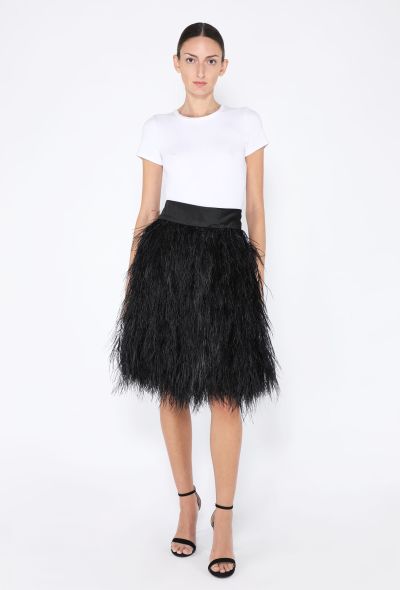 Alexander McQueen S/S 2004 'Deliverance' Feather Skirt - 1