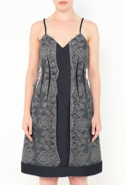 Lanvin 2012 'Les 10 ans' Lace Appliqué Dress - 2