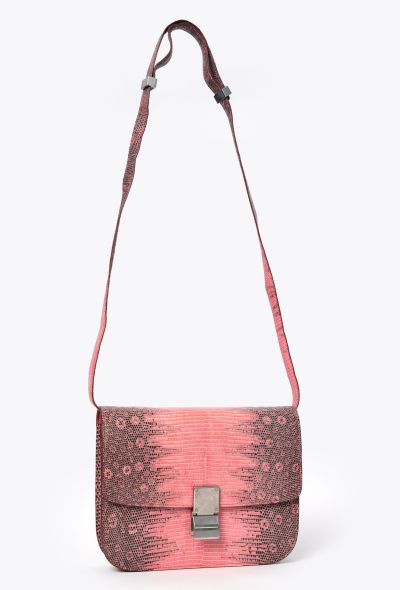 Céline Classic Varanus Salvator Lizard  Bag - 2