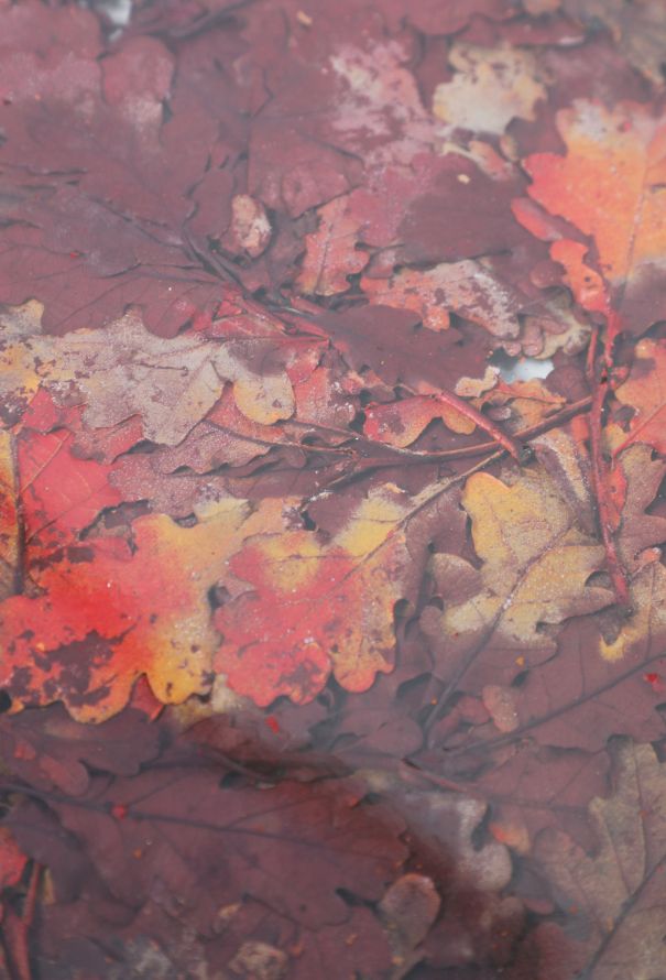 Dior Vintage Casted Autumn Leaves Platter - 4
