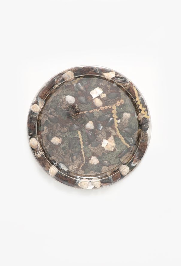 Dior '70s Casted Seashell Platter - 2