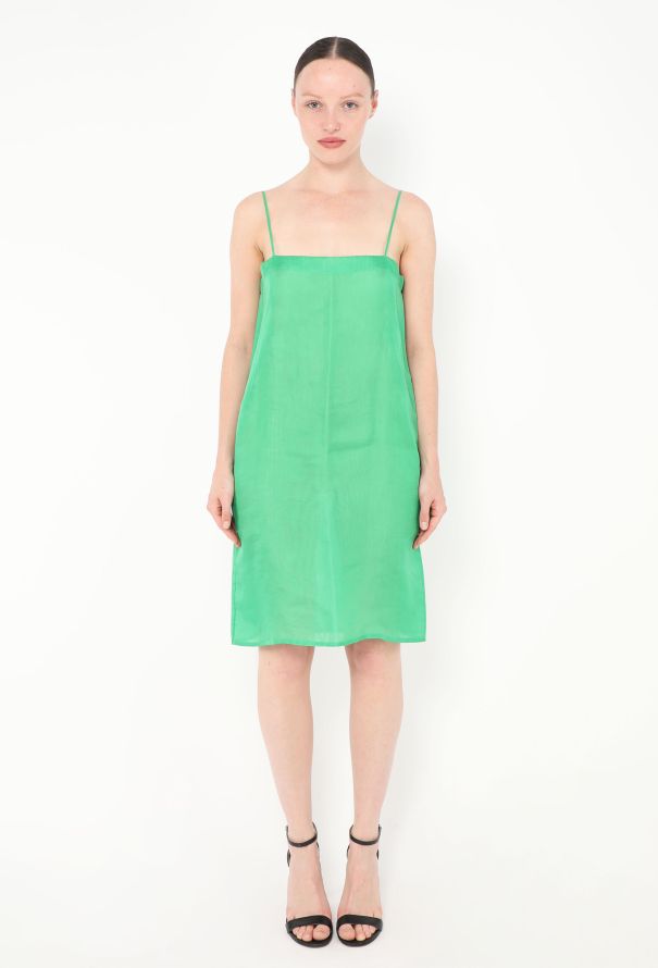 Céline Resort 2014 Organza Overlay Dress - 3