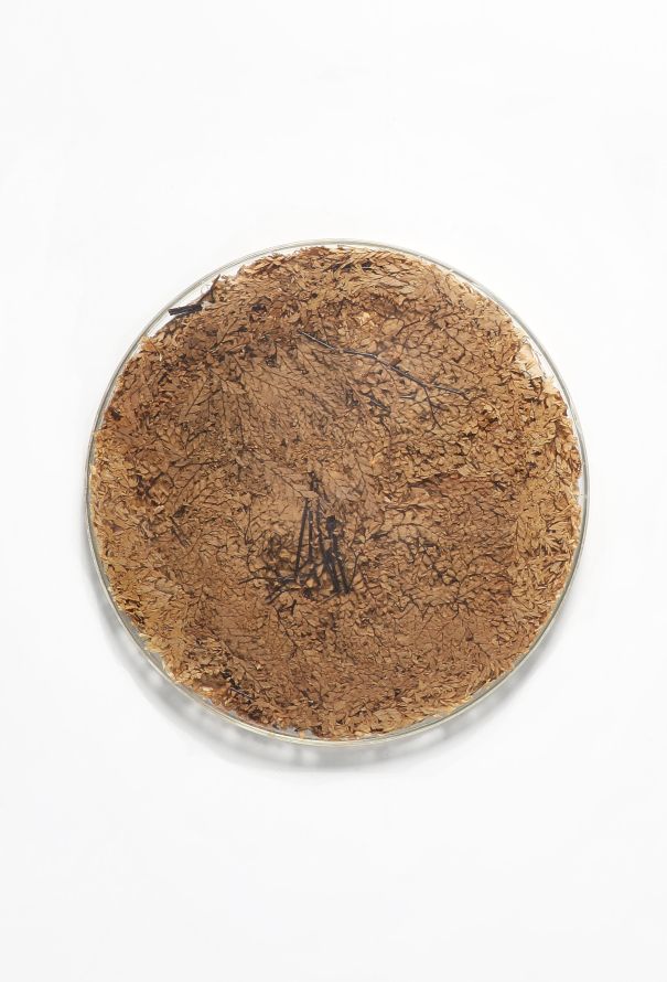 Dior Vintage Casted Leaves Platter - 4
