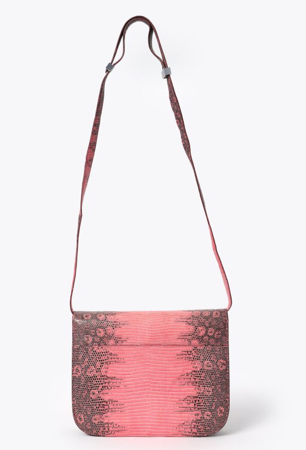 Céline Classic Varanus Salvator Lizard  Bag - 5