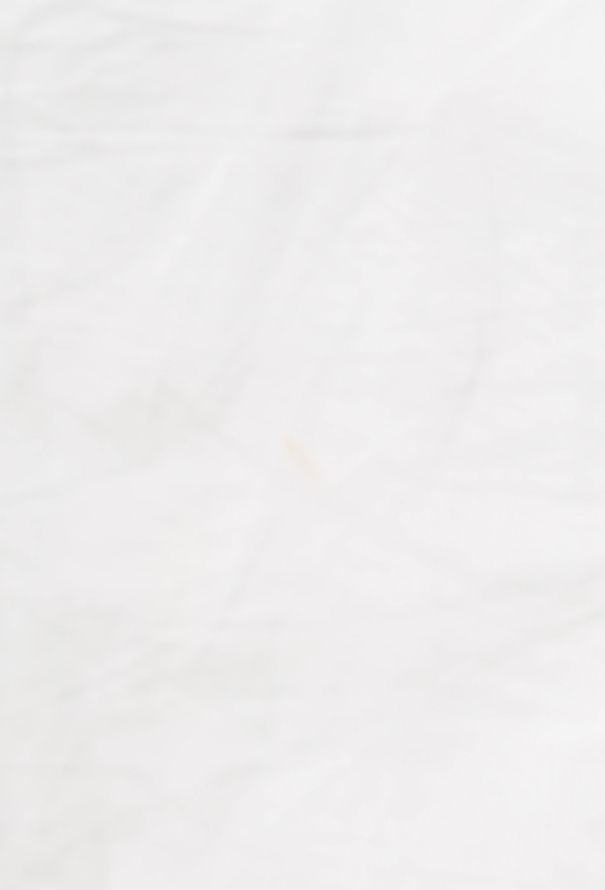 Céline Classic Rounded Skirt - 5