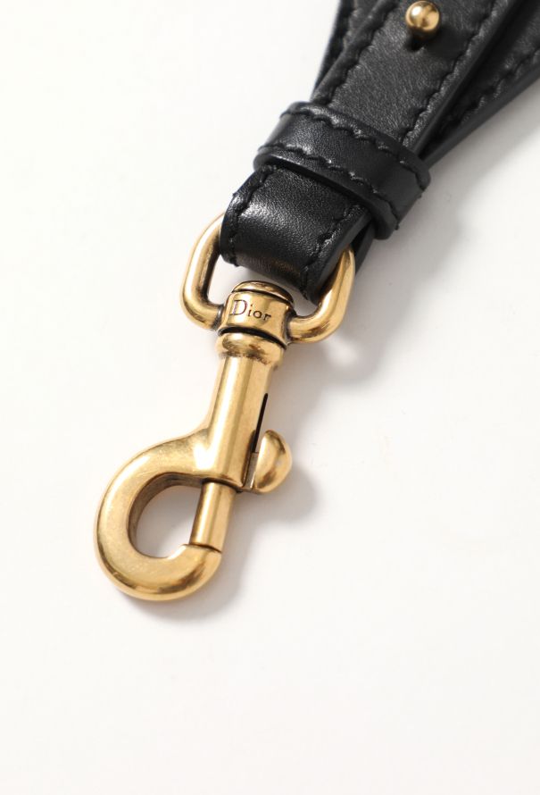 Dior F/W 2018 Printed Bag Strap - 6