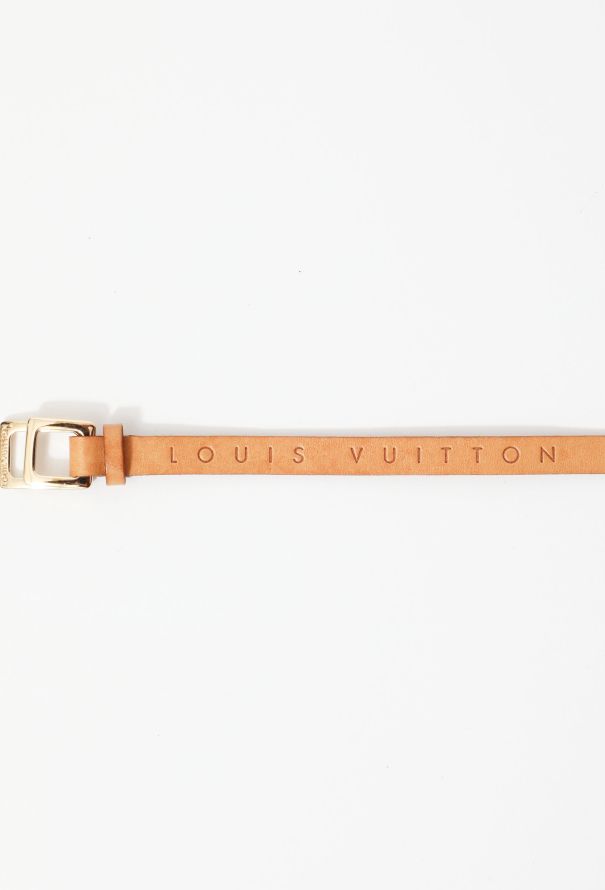 Louis Vuitton Monogram Florentine Belt Bag - 9