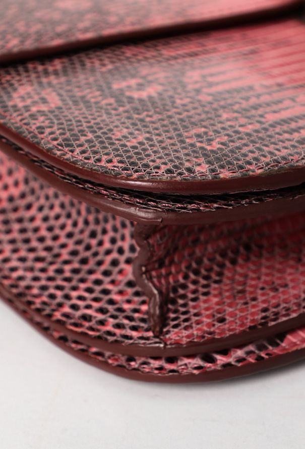 Céline Classic Varanus Salvator Lizard  Bag - 7