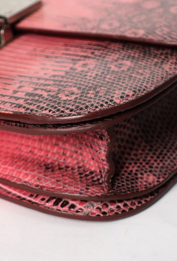 Céline Classic Varanus Salvator Lizard  Bag - 9