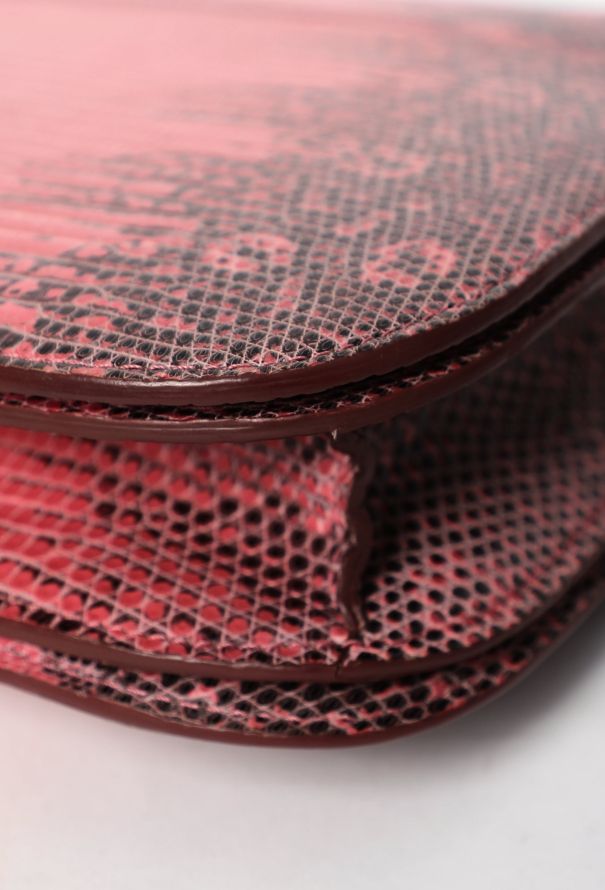 Céline Classic Varanus Salvator Lizard  Bag - 8