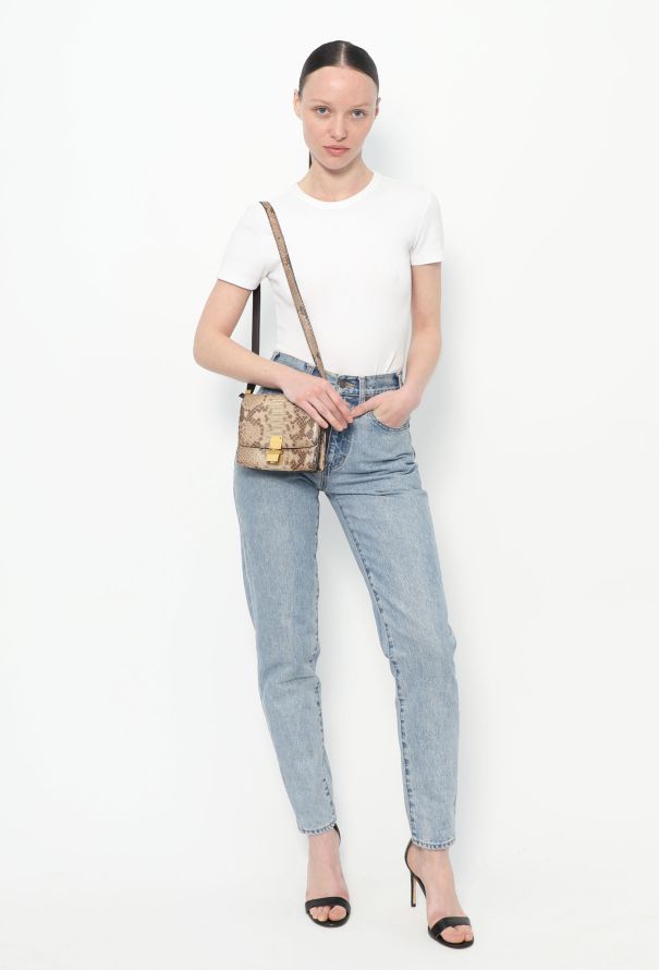 Céline Mini Python Classic Box Bag Beige and brown - 2