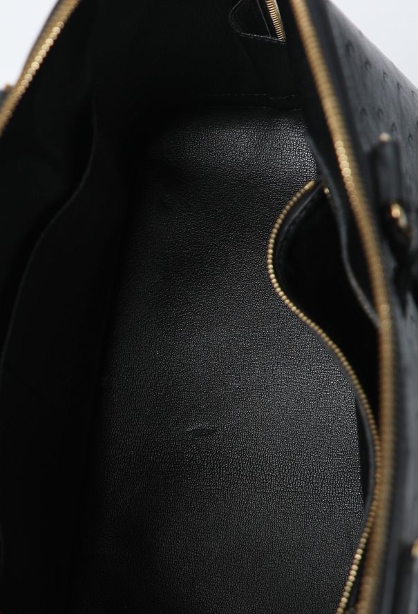 Louis Vuitton Ostrich Alma GM Bag - 11